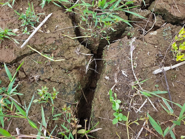 condición del suelo agrietado debido a estar sumergido en agua