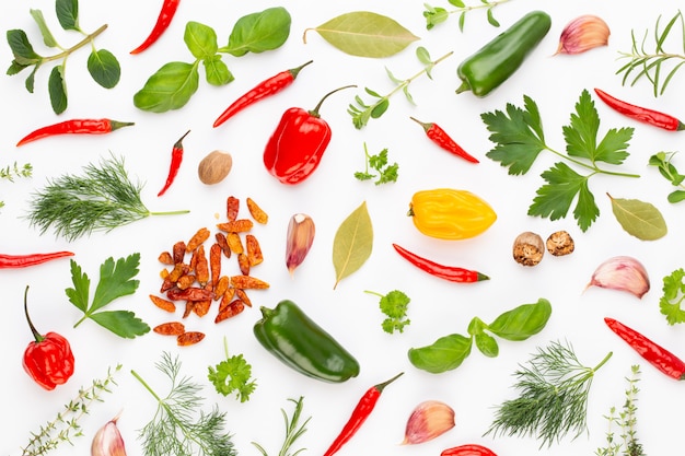 Condimente las hojas herbales y la pimienta de chile en el fondo blanco. Patrón de verduras Floral y vegetales sobre fondo blanco. Vista superior, endecha plana.