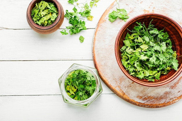 Condimento ou especiaria feito de salsa verde seca.