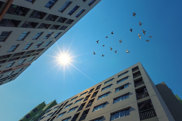 Condomínio moderno buiding com luz solar