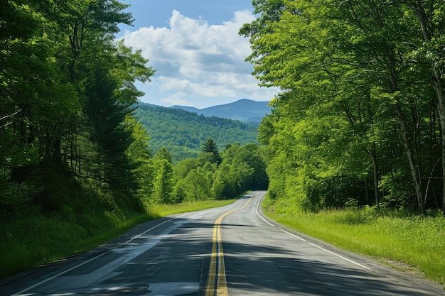 Condução panorâmica no campo