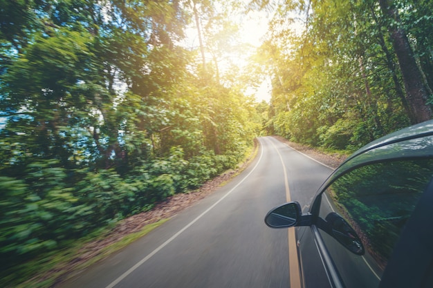 Conduce el coche por una carretera entre árboles. Viajar en coche