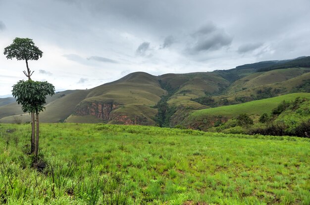 Conducir a través de las colinas de Sabie en Sudáfrica