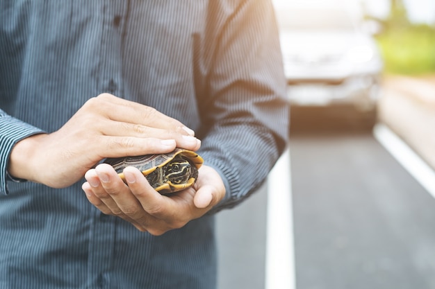 El conductor detiene el auto y ayuda a la tortuga en el camino