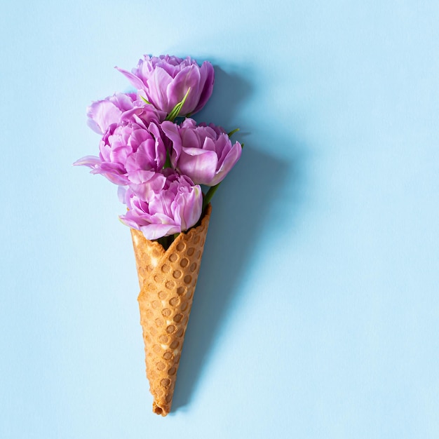 Cone de bolacha com tulipas em um fundo azul Conceito de primavera de sorvete de flor com primeiras flores