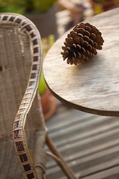 Cone de pino en una mesa de jardín