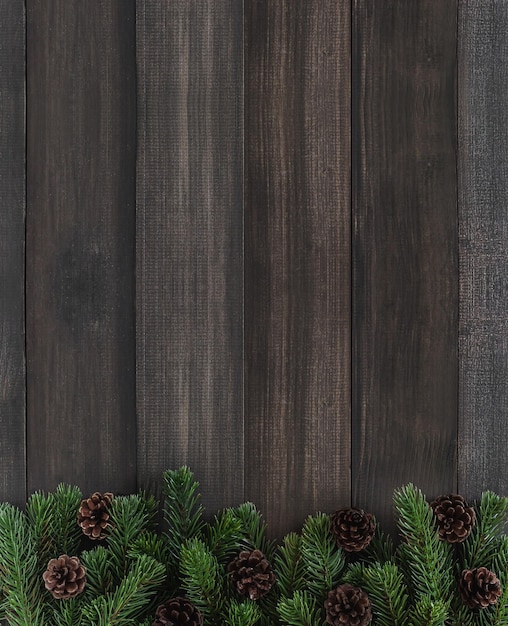 Conejas de pino y plantas en mesa de madera