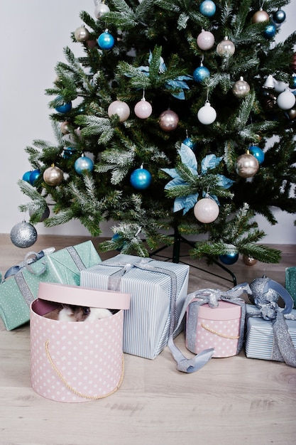 Conejito divertido en caja de regalos bajo el árbol de año nuevo. Concepto de felices vacaciones de invierno.