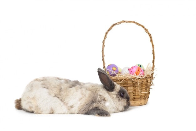 Conejito esponjoso con canasta de huevos de Pascua