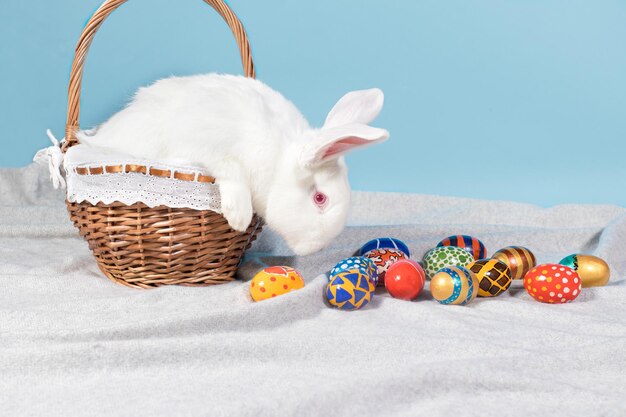 Un conejito de pascua blanco y esponjoso se sienta en una canasta con un telón de fondo de huevos de pascua