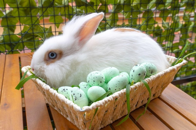 Conejito de Pascua en canasta con huevos decorados