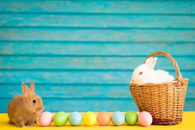 Conejito de Pascua y canasta de huevos