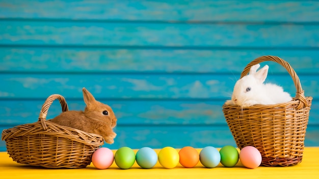 Conejito de Pascua y canasta de huevos