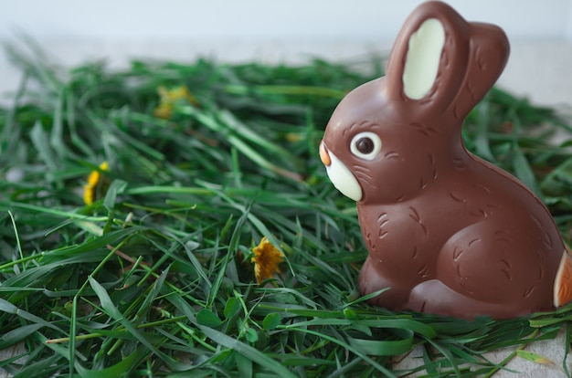 Conejito de Pascua de chocolate en un prado. Chocolate sabroso.