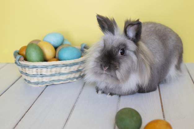 Conejito de pascua conejo casero con huevos coloridos en una canasta sobre fondo amarillo