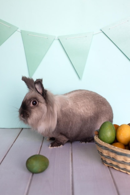 Foto conejito de pascua conejo casero con huevos coloridos en una canasta sobre fondo de menta claro