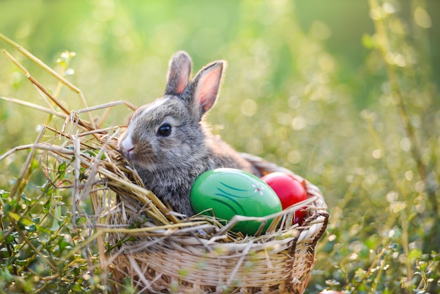 Conejito de Pascua y conejo de huevos de Pascua sentado en la hierba de la cesta