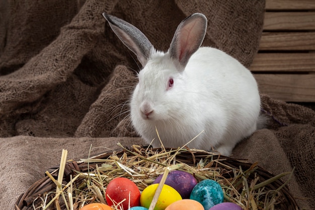 Conejito de Pascua sentado cerca de una canasta de mimbre con huevos multicolores