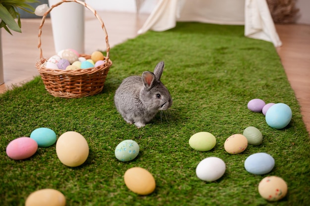 Conejito de pascua sentado en la hierba cerca de los huevos