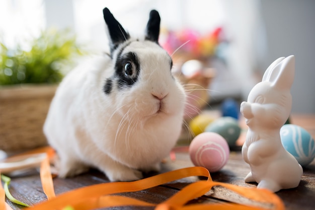 Conejito de pascua