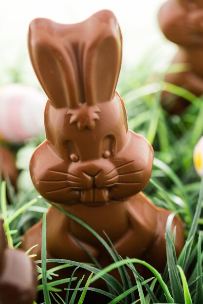 Foto conejitos de chocolate de pascua elaborados con leche sólida y chocolate negro.