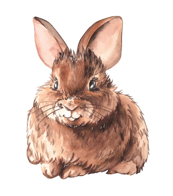 El conejo de acuarela naturalista y esponjoso