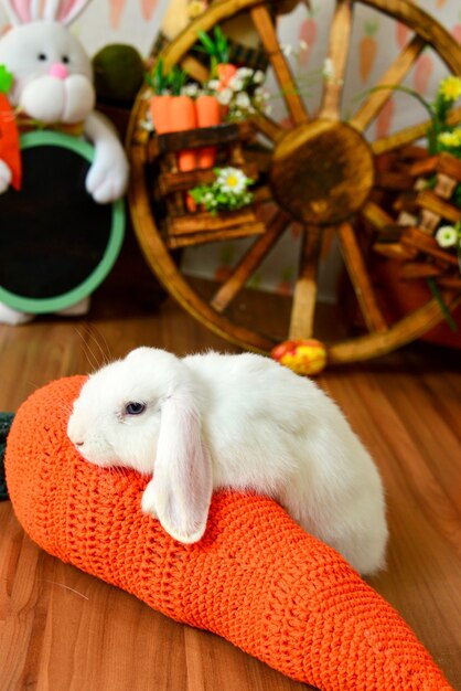 Conejo blanco en ambiente de Pascua.