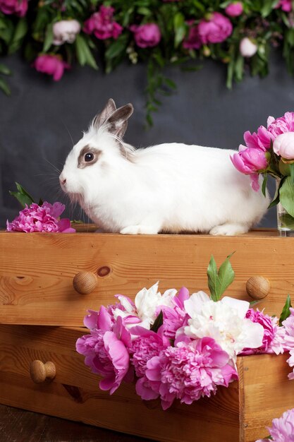 Conejo blanco con flores de primavera. tiempo de Pascua