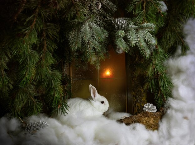 conejo blanco de navidad en el bosque junto a la ventana en la nieve