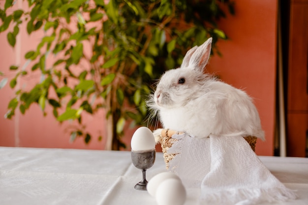 Un conejo blanco sentado en una cesta rústica con una servilleta y huevos de Pascua