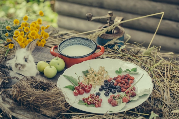 Conejo con leche de frutos del bosque y manzanas verdes