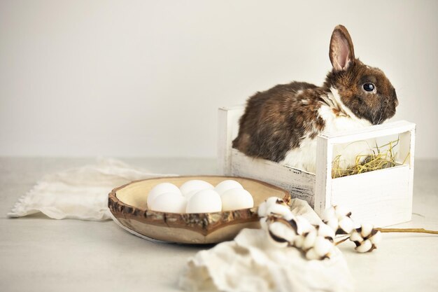 Conejo de pascua en una canasta con huevos blancos cerca del concepto de vacaciones