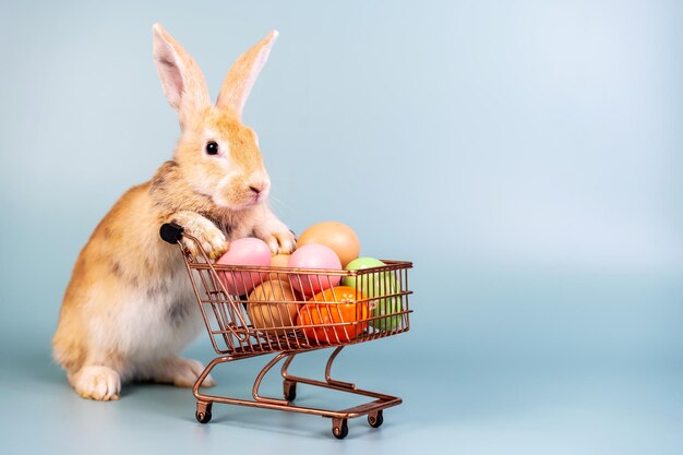 Conejo de Pascua con carrito de compras y dulces huevos de colores en el fondo encantador mamífero con hermosos ojos brillantes en la vida natural concepto animal venta de vacaciones de Pascua