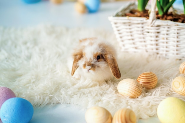 Conejo en Pascua decorado habitación con huevos pintados