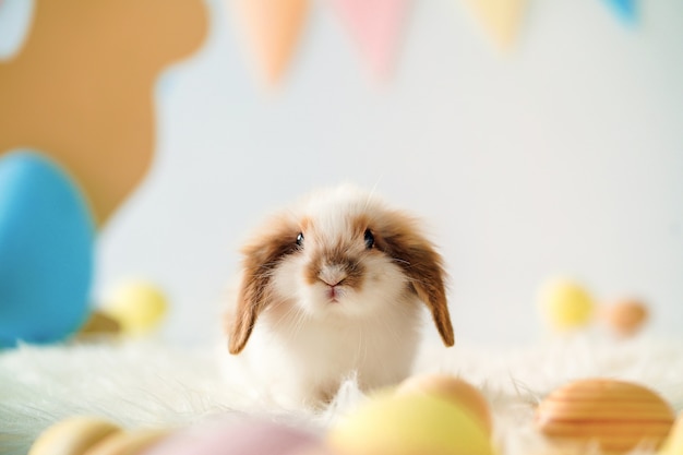 Conejo en Pascua decorado habitación con huevos pintados