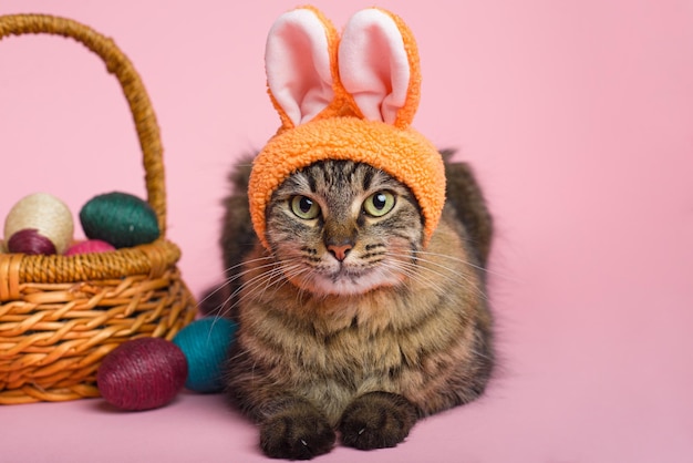 Foto conejo de pascua gato tabby con orejas de conejo y huevos de pascua en fondo rosa funny fondo de pascua