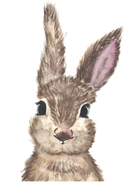 El conejo