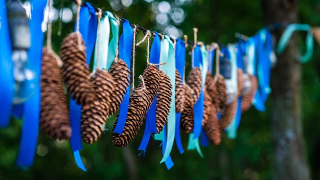Cones de abeto e guirlandas azuis penduradas ao ar livre