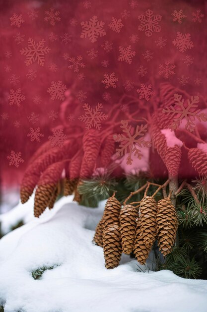 Cones de abetos castanhos em galhos de pinheiros na neve Por trás de um fundo vermelho com flocos de neve