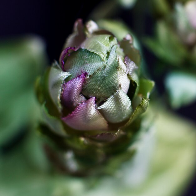 Cones de lúpulo isolados em um fundo preto. flores falsificadas de seda artificial