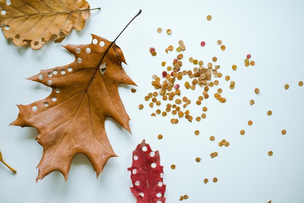 confeti hecho de vacaciones ecológicas de zorro de otoño amarillento