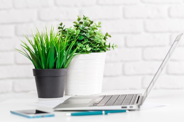 Configuración moderna del espacio de trabajo con computadora portátil y plantas decorativas en un entorno minimalista brillante
