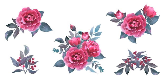 Configure elementos de aquarela vintage de viva magenta coleção de rosas flores de jardim folhas ilustração