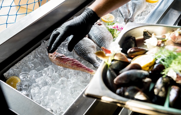 Foto congelados ver comida en hielo. camarones, peces y conchas marinas.