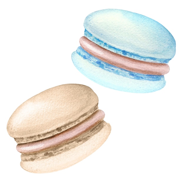 Conjunto de acuarela de dulces pasteles macarrones mano darwn ilustración de almendra redonda merengue aislado o