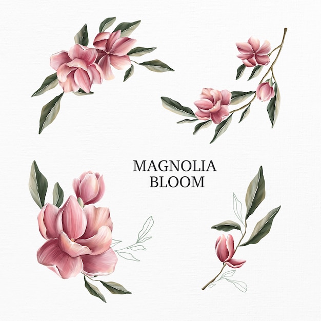 Conjunto acuarela de flor de magnolia