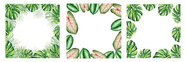 Conjunto de acuarela de marco con hojas tropicales realistas Ilustración de hojas de monstera caladium ficus