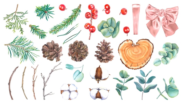 Conjunto de acuarelas plantas navideñas de invierno Ilustración botánica dibujada a mano de ramas de abeto eucalipto