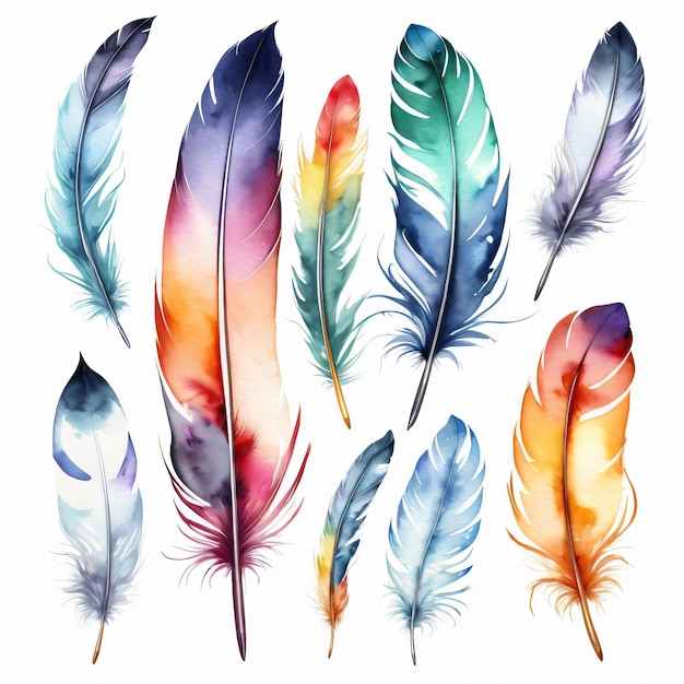 Conjunto de acuarelas de las plumas de colores conjunto clipart