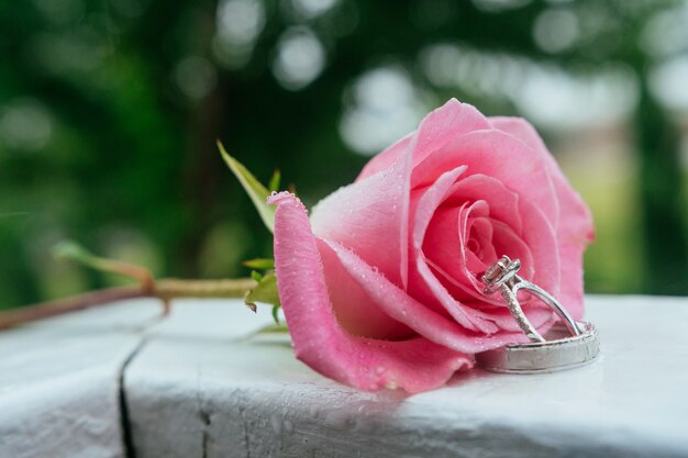 Conjunto de anillos de boda en rosa tomada primer plano con gotas de agua